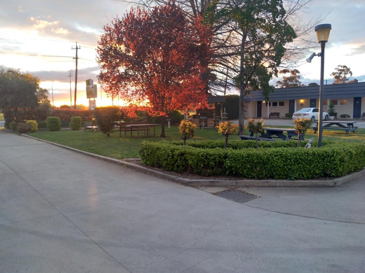 City Park Motel And Apartments Wagga Wagga Exterior foto